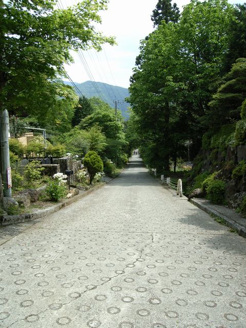 【金時山】登山日記2012年5月