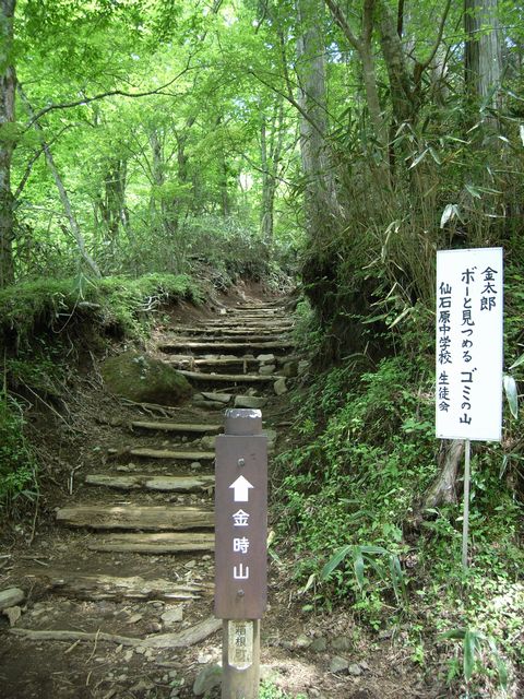 【金時山】登山日記2012年5月