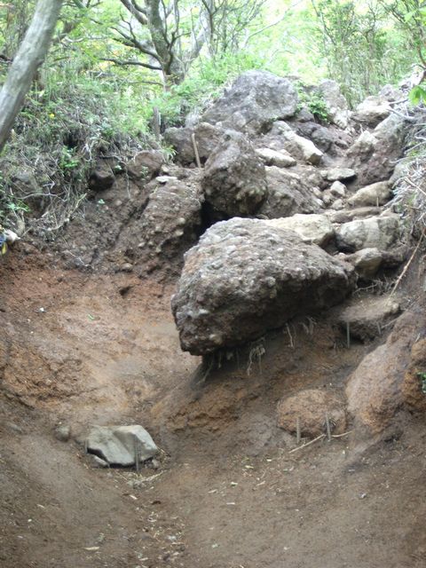 【金時山】登山日記2012年5月