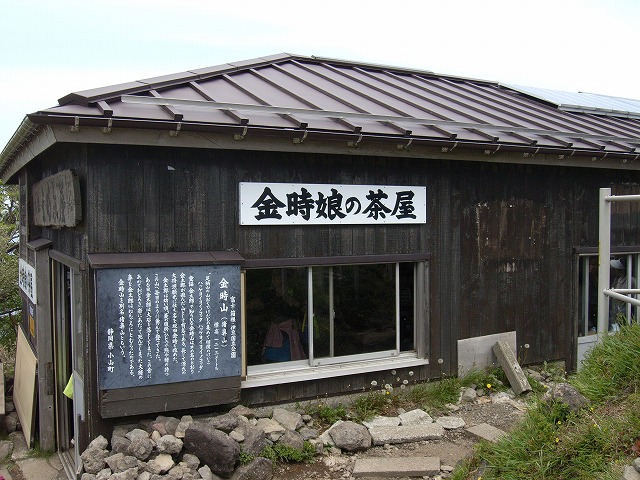 【金時山】登山日記2012年5月