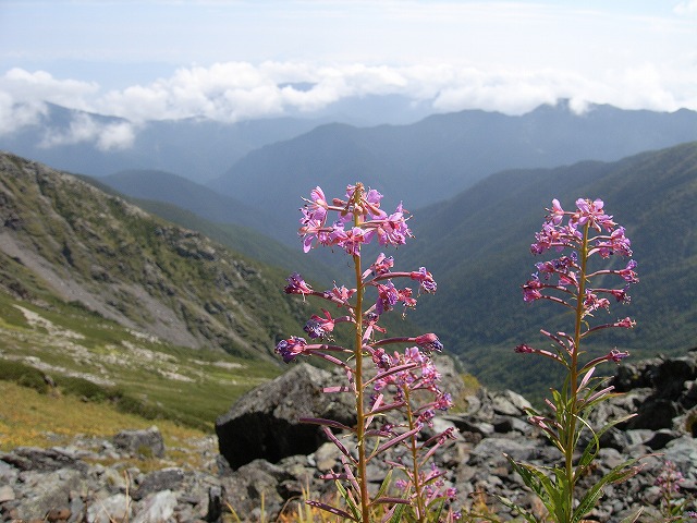 【北岳】登山日記2010年9月