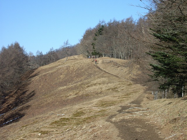 【雲取山】登山日記2010年11月