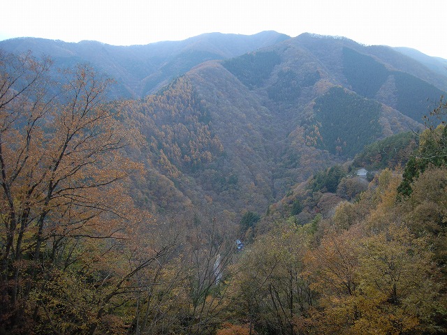 【雲取山】登山日記2010年11月