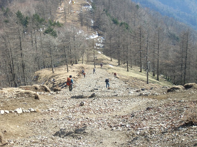 【雲取山】登山日記2010年11月