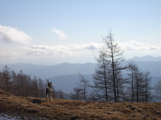 【雲取山】登山日記2010年11月