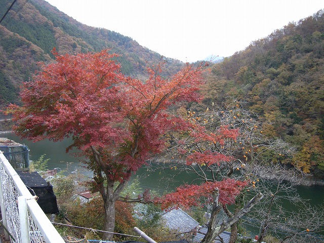 【雲取山】登山日記2010年11月