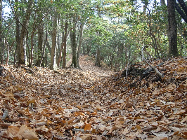 【雲取山】登山日記2010年11月