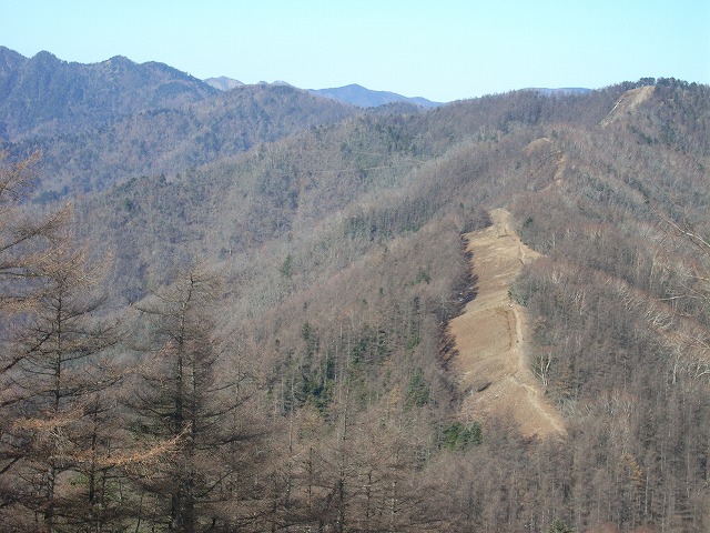 【雲取山】登山日記2010年11月