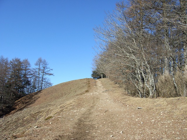 【雲取山】登山日記2010年11月