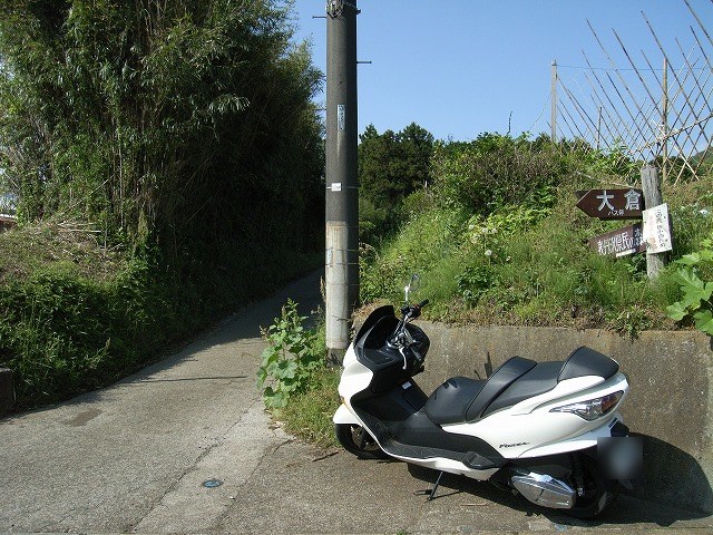 【鍋割山～塔ノ岳】登山日記2011年5月