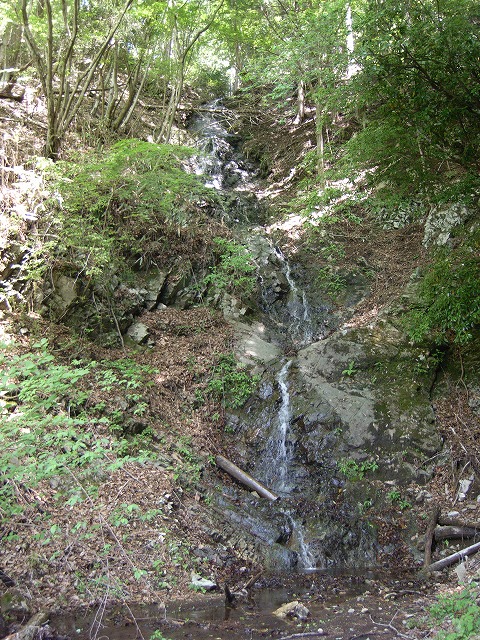 【鍋割山～塔ノ岳】登山日記2011年5月