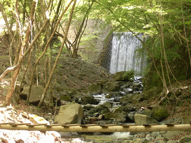 【鍋割山～塔ノ岳】登山日記2011年5月