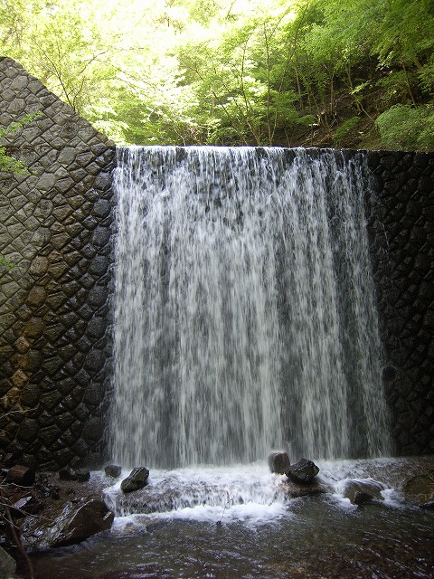 【鍋割山～塔ノ岳】登山日記2011年5月