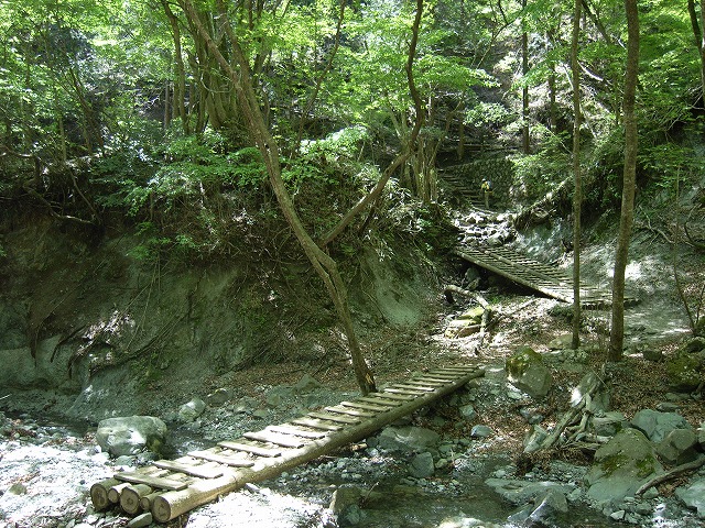 【鍋割山～塔ノ岳】登山日記2011年5月