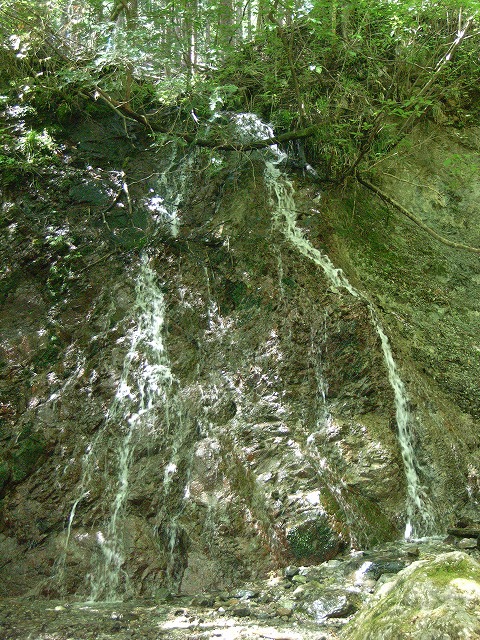 【鍋割山～塔ノ岳】登山日記2011年5月