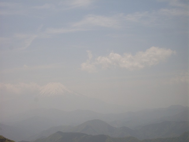 【鍋割山～塔ノ岳】登山日記2011年5月