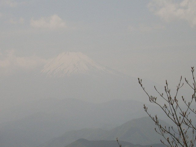 【鍋割山～塔ノ岳】登山日記2011年5月