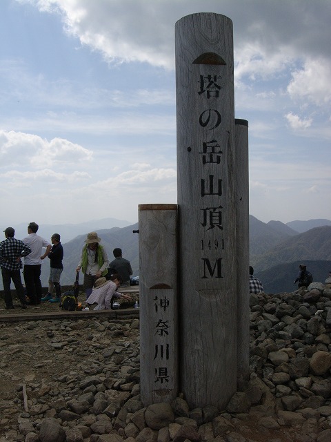 【鍋割山～塔ノ岳】登山日記2011年5月