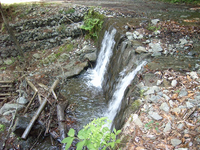 【鍋割山～塔ノ岳】登山日記2011年5月