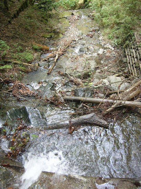 【鍋割山～塔ノ岳】登山日記2011年5月