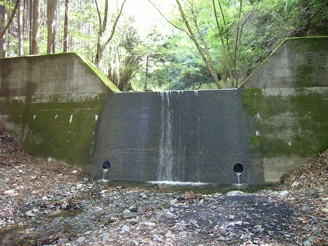 【鍋割山～塔ノ岳】登山日記2011年5月