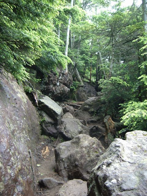 【男体山】登山日記2012年7月