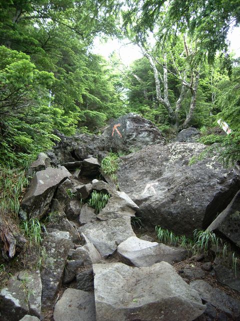 【男体山】登山日記2012年7月