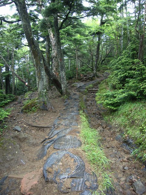 【男体山】登山日記2012年7月