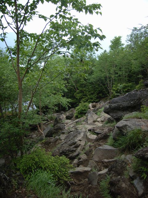 【男体山】登山日記2012年7月