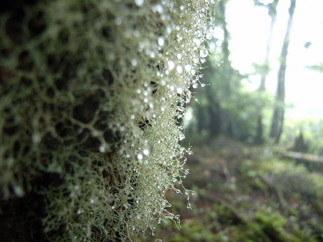 【男体山】登山日記2012年7月