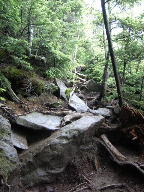 【男体山】登山日記2012年7月