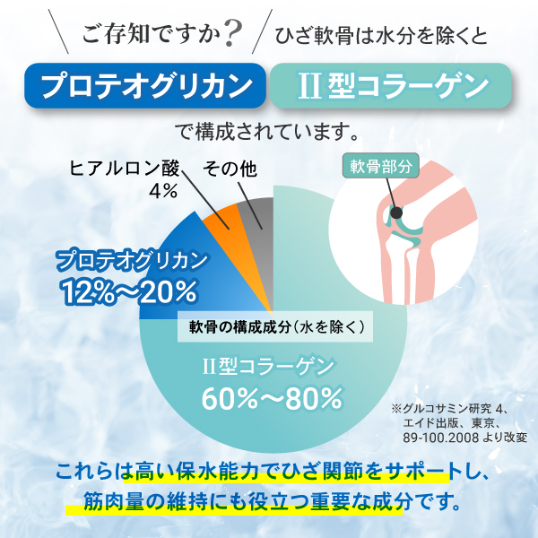 高い保水能力で膝関節をサポートするプロテオグリカンとⅡ型コラーゲン