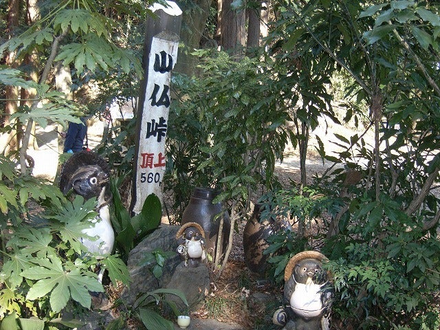 【高尾山～陣馬山】登山日記2011年1月