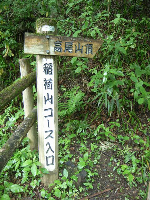 【高尾山～陣馬山】登山日記2012年5月