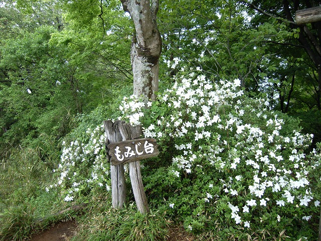 【高尾山～陣馬山】登山日記2012年5月