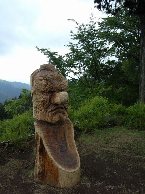 【高尾山～陣馬山】登山日記2012年5月