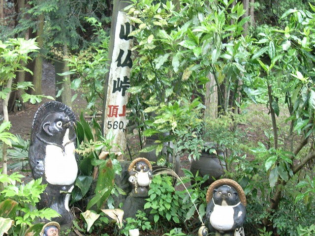 【高尾山～陣馬山】登山日記2012年5月