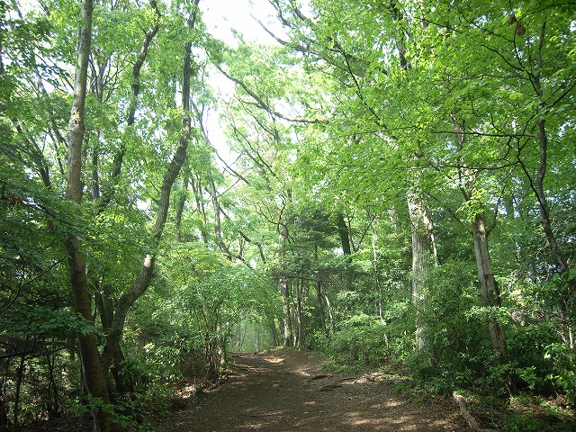 【高尾山～陣馬山】登山日記2012年5月