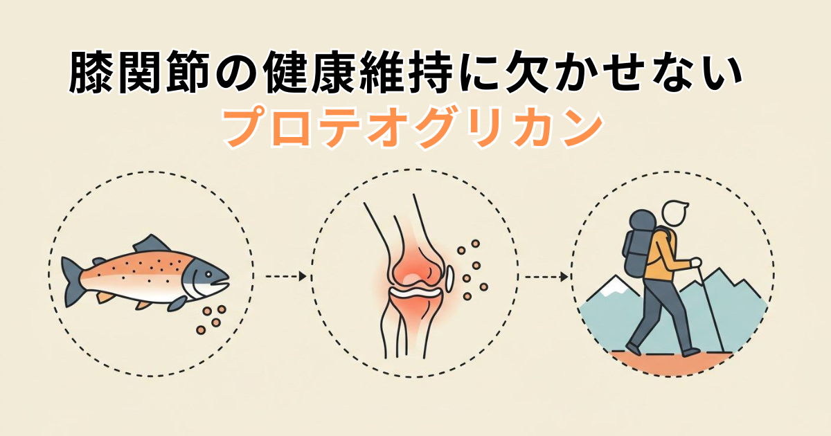 プロテオグリカンとは？分かりやすく説明