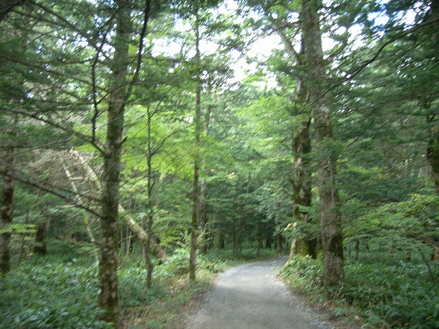 【槍ヶ岳～奥穂高岳】登山日記2012年9月