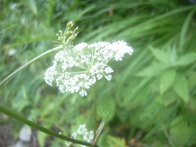 【槍ヶ岳～奥穂高岳】登山日記2012年9月