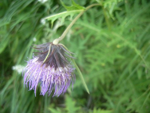 【槍ヶ岳～奥穂高岳】登山日記2012年9月