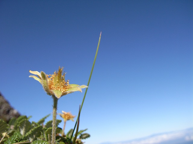 【八ヶ岳（赤岳）】登山日記2011年7月