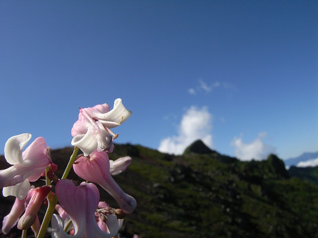 【八ヶ岳（赤岳）】登山日記2011年7月