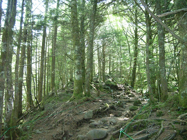 【八ヶ岳（赤岳）】登山日記2011年7月